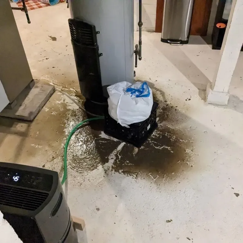 Sewage Backup Cleanup Service in San Antonio, PR